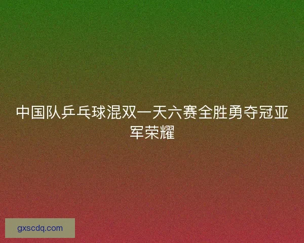 中国队乒乓球混双一天六赛全胜勇夺冠亚军荣耀