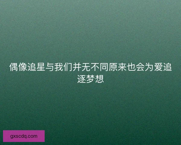 偶像追星与我们并无不同原来也会为爱追逐梦想