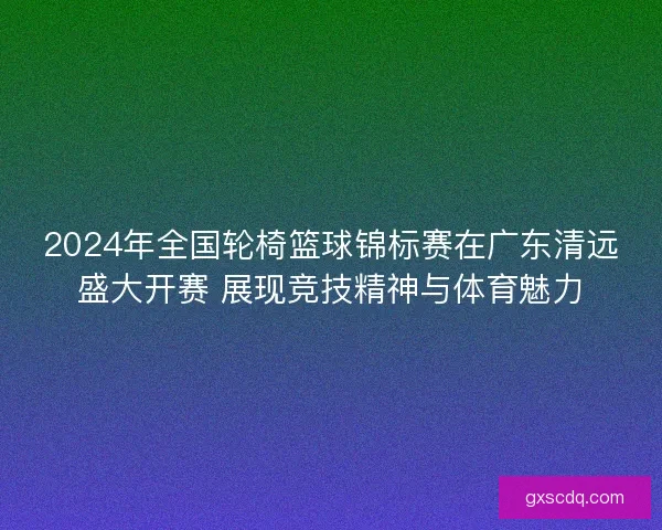 2024年全国轮椅篮球锦标赛在广东清远盛大开赛 展现竞技精神与体育魅力