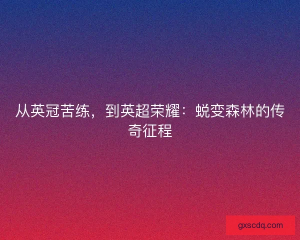 从英冠苦练,到英超荣耀:蜕变森林的传奇征程 从英冠苦练,到英超荣耀:蜕变森林的传奇征程