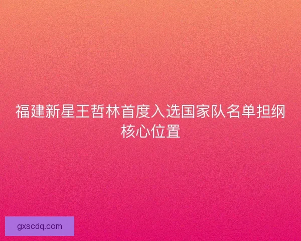 福建新星王哲林首度入选国家队名单担纲核心位置 福建新星王哲林首度入选国家队名单担纲核心位置