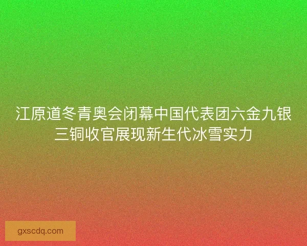 江原道冬青奥会闭幕中国代表团六金九银三铜收官展现新生代冰雪实力